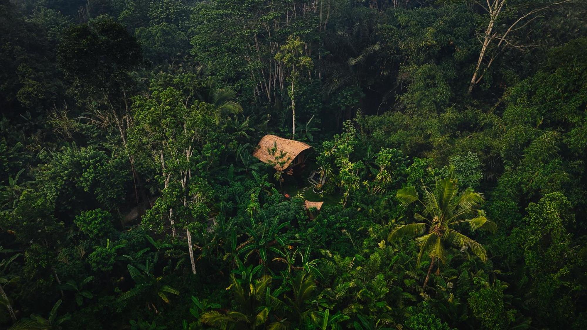 Arcada Bali Bamboo House Villa Sidemen  Dış mekan fotoğraf