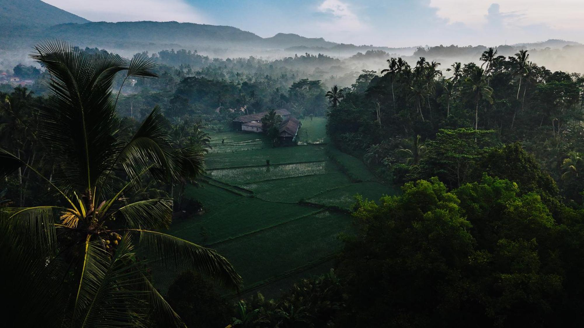 Arcada Bali Bamboo House Villa Sidemen  Dış mekan fotoğraf