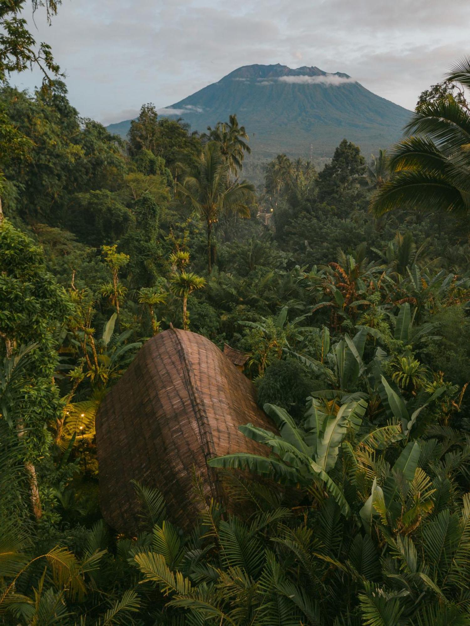 Arcada Bali Bamboo House Villa Sidemen  Dış mekan fotoğraf